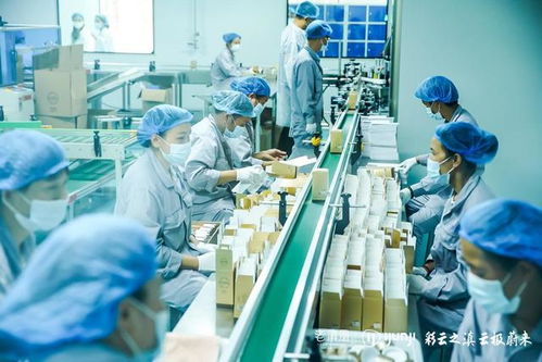 老滇凰云極工廠 以信息技術(shù)咨詢服務(wù)為引擎，驅(qū)動云南蜂業(yè)現(xiàn)代化轉(zhuǎn)型
